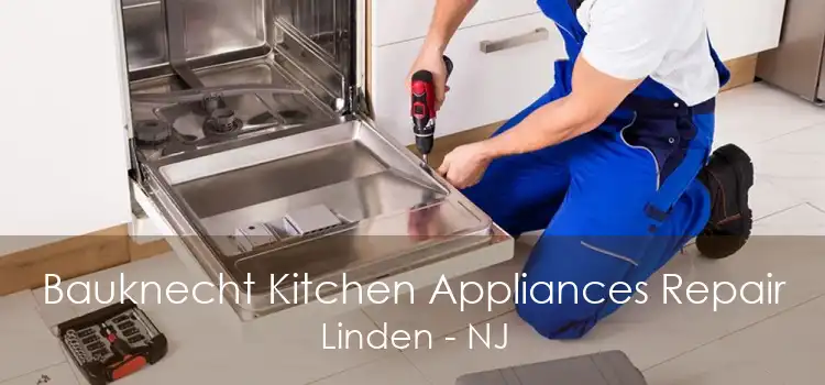 Bauknecht Kitchen Appliances Repair Linden - NJ