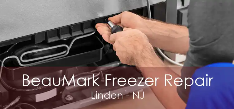 BeauMark Freezer Repair Linden - NJ