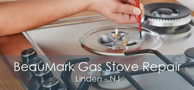 BeauMark Gas Stove Repair Linden - NJ