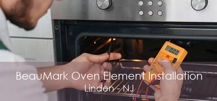 BeauMark Oven Element Installation Linden - NJ