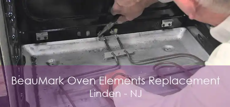BeauMark Oven Elements Replacement Linden - NJ