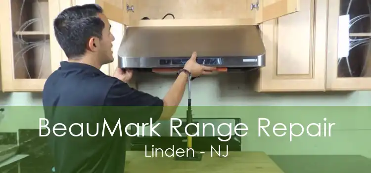 BeauMark Range Repair Linden - NJ