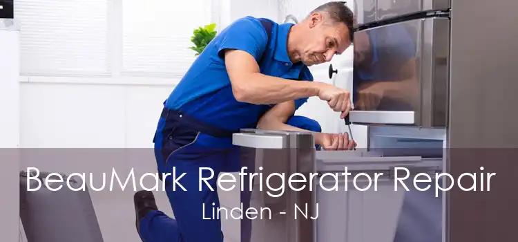 BeauMark Refrigerator Repair Linden - NJ