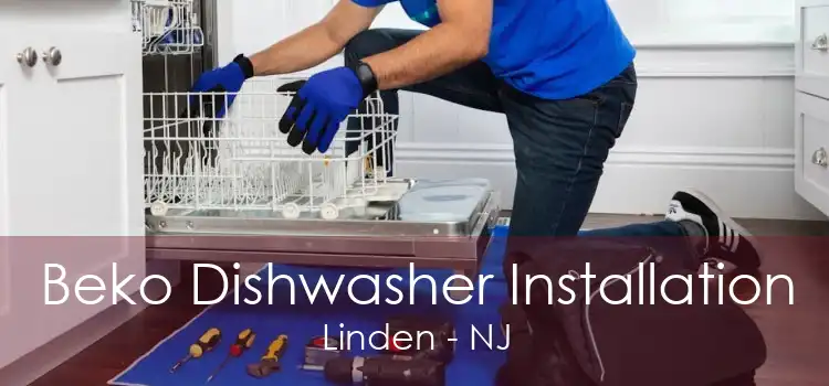 Beko Dishwasher Installation Linden - NJ