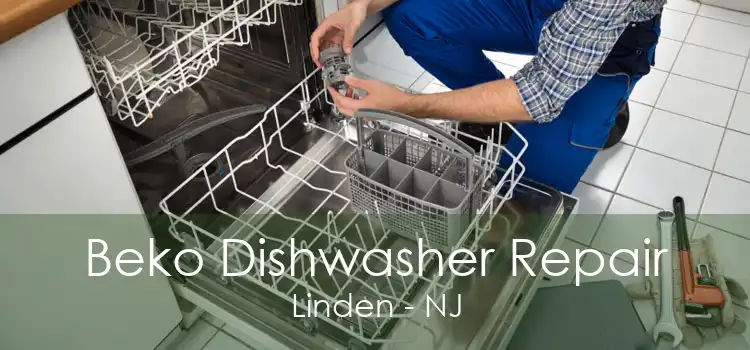 Beko Dishwasher Repair Linden - NJ