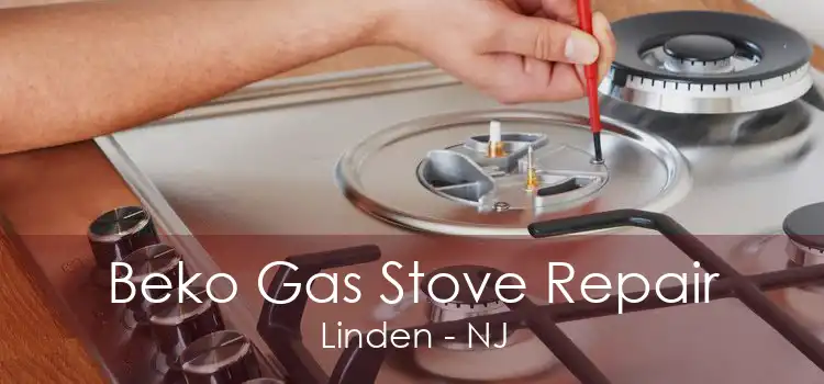 Beko Gas Stove Repair Linden - NJ
