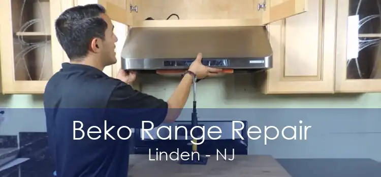 Beko Range Repair Linden - NJ