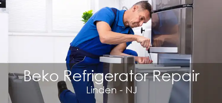 Beko Refrigerator Repair Linden - NJ