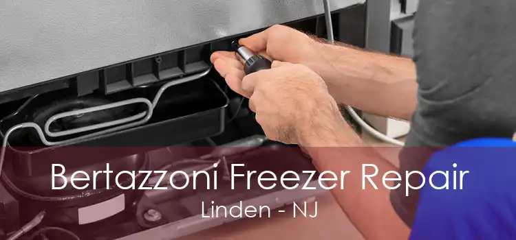 Bertazzoni Freezer Repair Linden - NJ