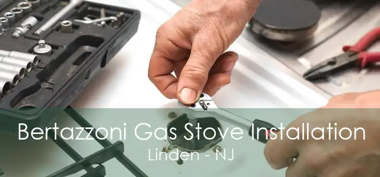 Bertazzoni Gas Stove Installation Linden - NJ