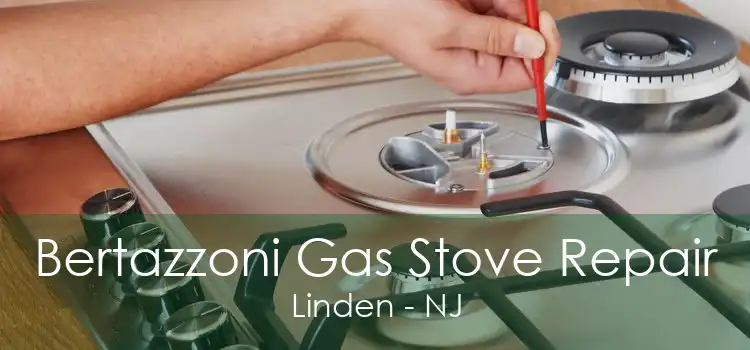 Bertazzoni Gas Stove Repair Linden - NJ