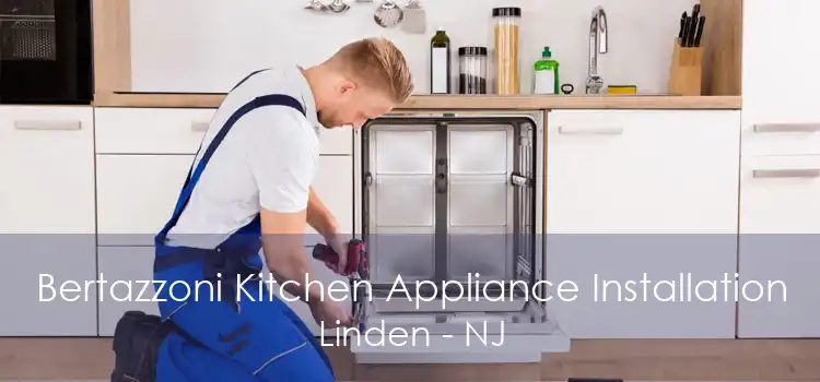 Bertazzoni Kitchen Appliance Installation Linden - NJ