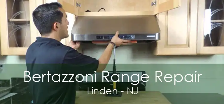 Bertazzoni Range Repair Linden - NJ