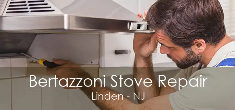 Bertazzoni Stove Repair Linden - NJ