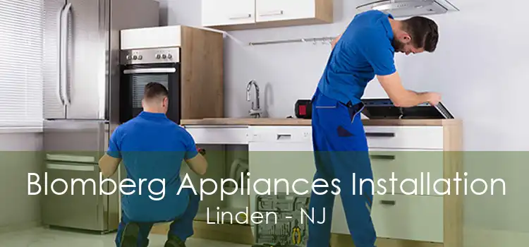 Blomberg Appliances Installation Linden - NJ