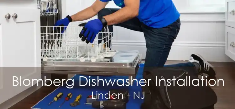 Blomberg Dishwasher Installation Linden - NJ