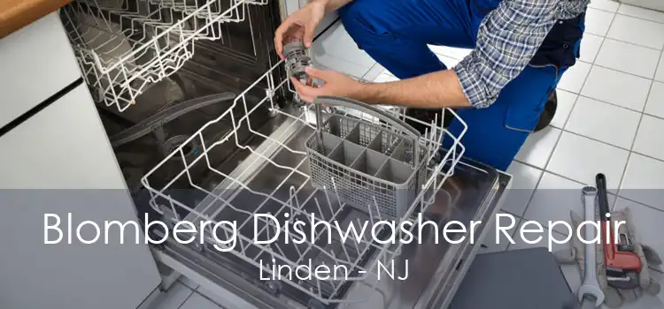 Blomberg Dishwasher Repair Linden - NJ