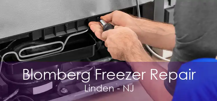 Blomberg Freezer Repair Linden - NJ