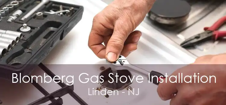 Blomberg Gas Stove Installation Linden - NJ