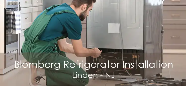 Blomberg Refrigerator Installation Linden - NJ