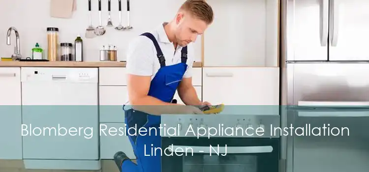 Blomberg Residential Appliance Installation Linden - NJ