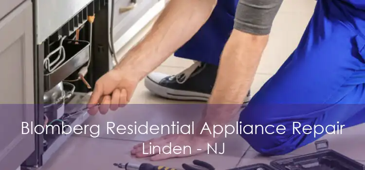 Blomberg Residential Appliance Repair Linden - NJ