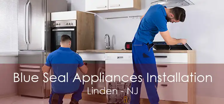 Blue Seal Appliances Installation Linden - NJ