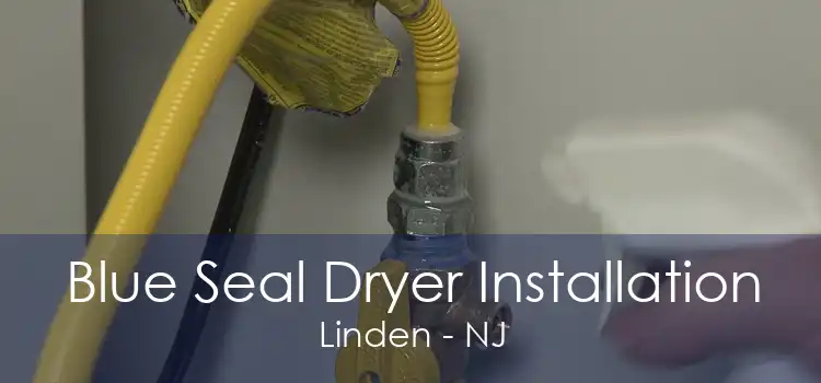 Blue Seal Dryer Installation Linden - NJ