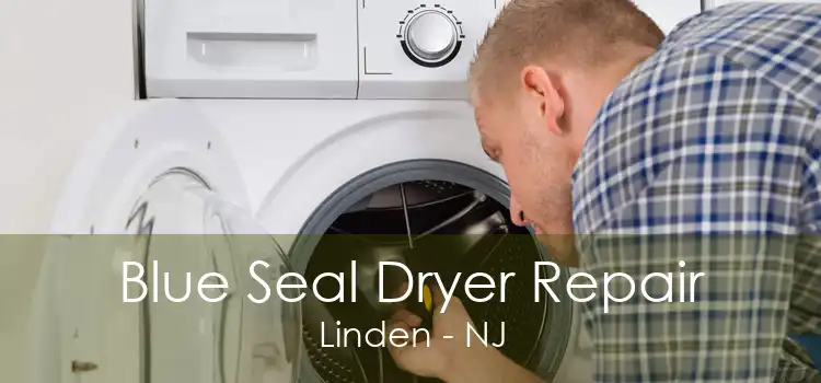Blue Seal Dryer Repair Linden - NJ