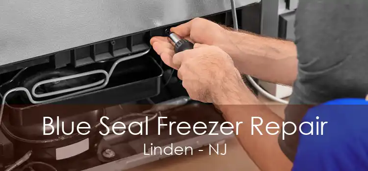 Blue Seal Freezer Repair Linden - NJ