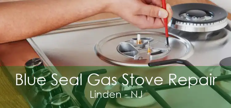Blue Seal Gas Stove Repair Linden - NJ