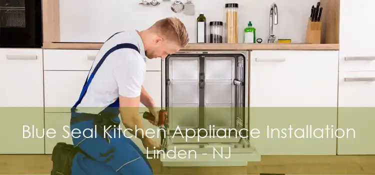 Blue Seal Kitchen Appliance Installation Linden - NJ