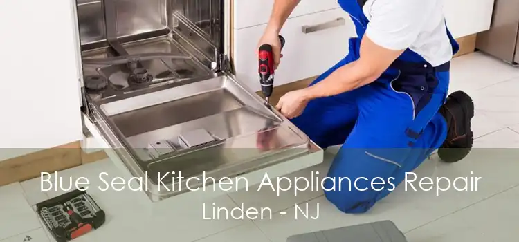 Blue Seal Kitchen Appliances Repair Linden - NJ