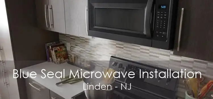 Blue Seal Microwave Installation Linden - NJ