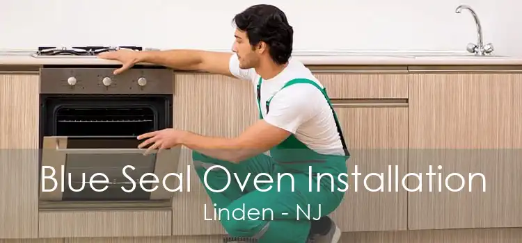 Blue Seal Oven Installation Linden - NJ