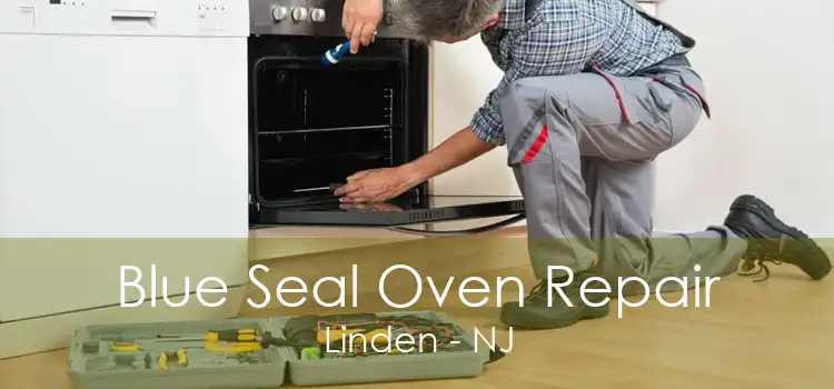 Blue Seal Oven Repair Linden - NJ