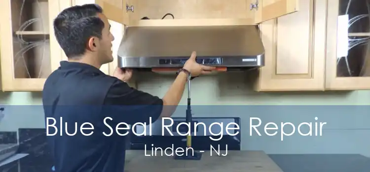 Blue Seal Range Repair Linden - NJ