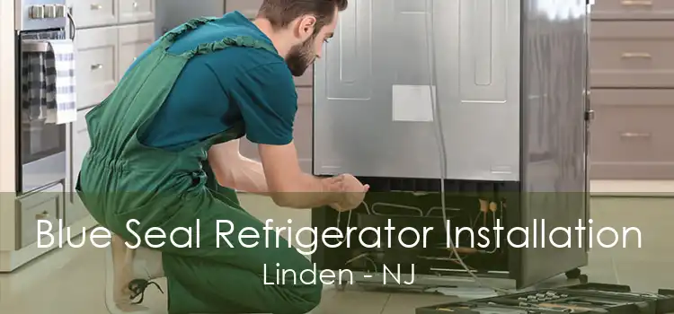 Blue Seal Refrigerator Installation Linden - NJ