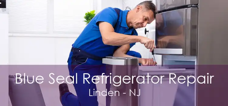 Blue Seal Refrigerator Repair Linden - NJ
