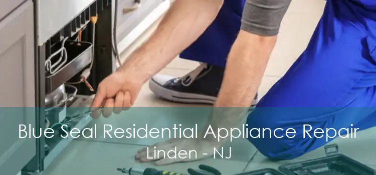 Blue Seal Residential Appliance Repair Linden - NJ