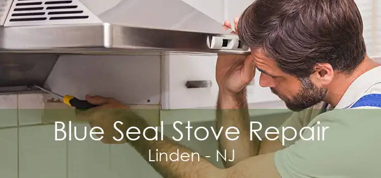 Blue Seal Stove Repair Linden - NJ