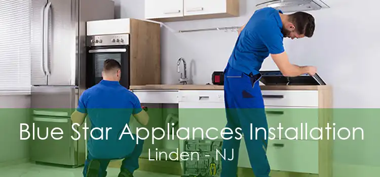 Blue Star Appliances Installation Linden - NJ