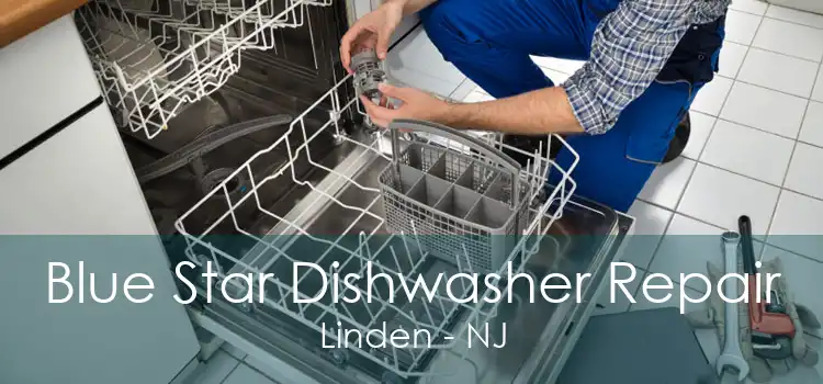 Blue Star Dishwasher Repair Linden - NJ