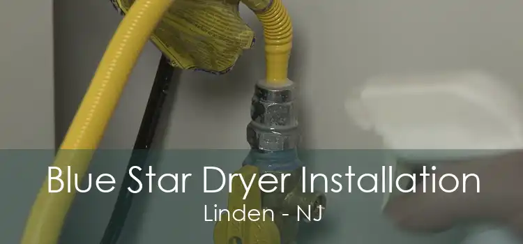 Blue Star Dryer Installation Linden - NJ