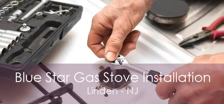 Blue Star Gas Stove Installation Linden - NJ