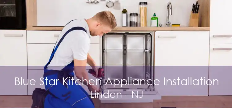 Blue Star Kitchen Appliance Installation Linden - NJ
