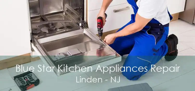 Blue Star Kitchen Appliances Repair Linden - NJ