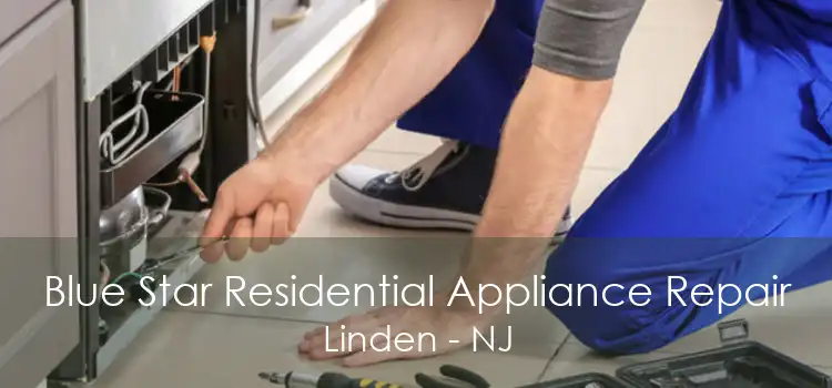 Blue Star Residential Appliance Repair Linden - NJ