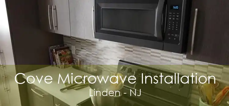 Cove Microwave Installation Linden - NJ