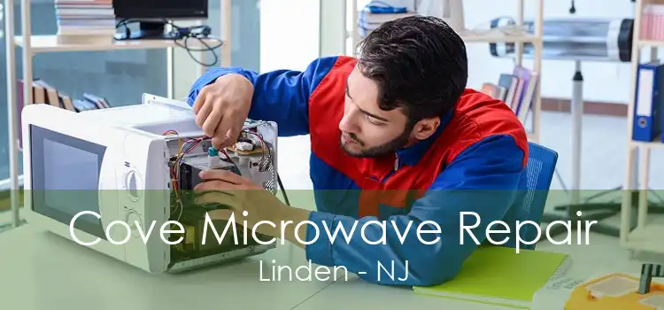 Cove Microwave Repair Linden - NJ